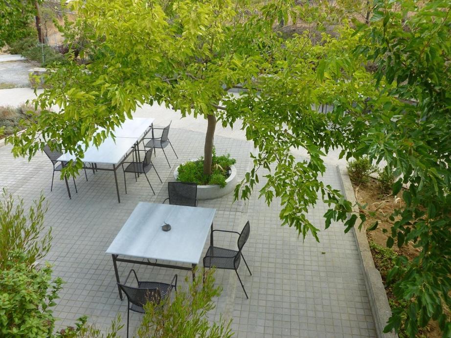 Ktima Pyroessa Apartments - Yellow Apartment Θάνος Εξωτερικό φωτογραφία